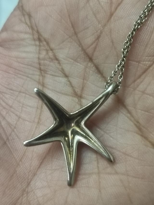 Tiffany&Co. สร้อยปลาดาว