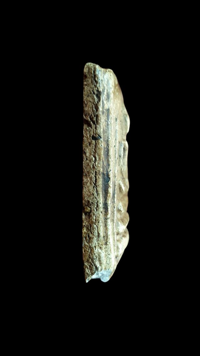 "สมเด็จวัดระฆัง อกครุฑเศียรบารตพิมพ์ใหญ่" 3