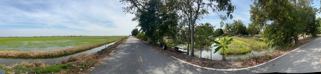 ขายที่ดิน ใกล้บางบัวทอง ไทรน้อย