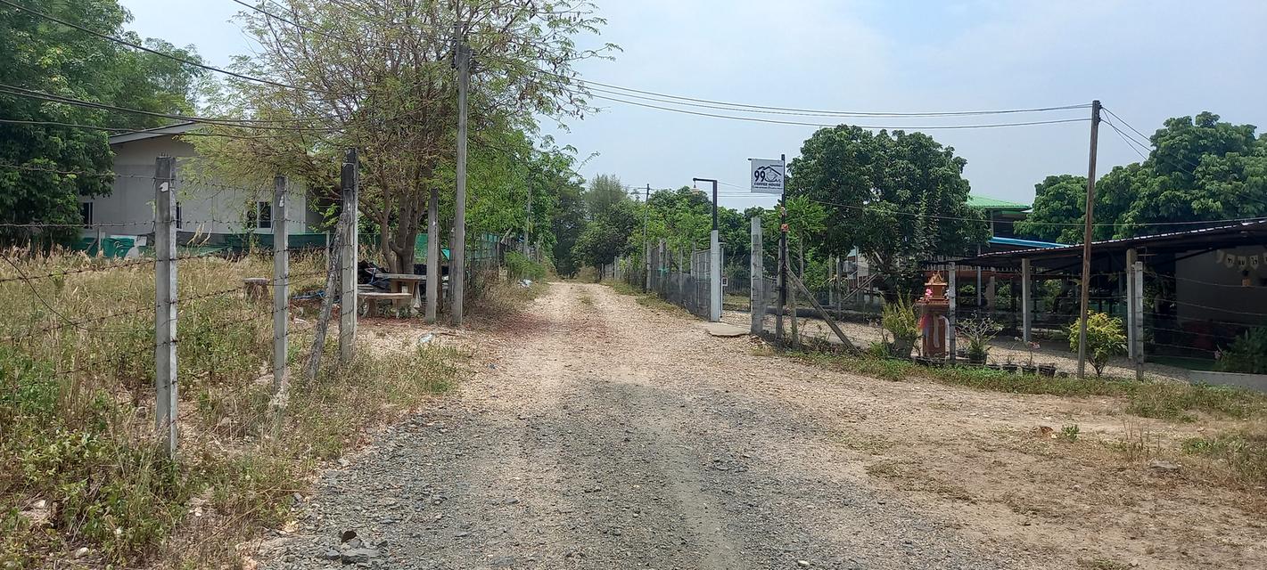 ที่ดินจังหวัดเชียงใหม่ 3