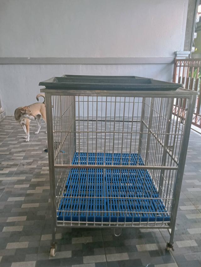กรงสุนัขมือสอง สภาพดีมาก ใช้งานมาแค่ 15 วัน รูปย่อยที่ 3