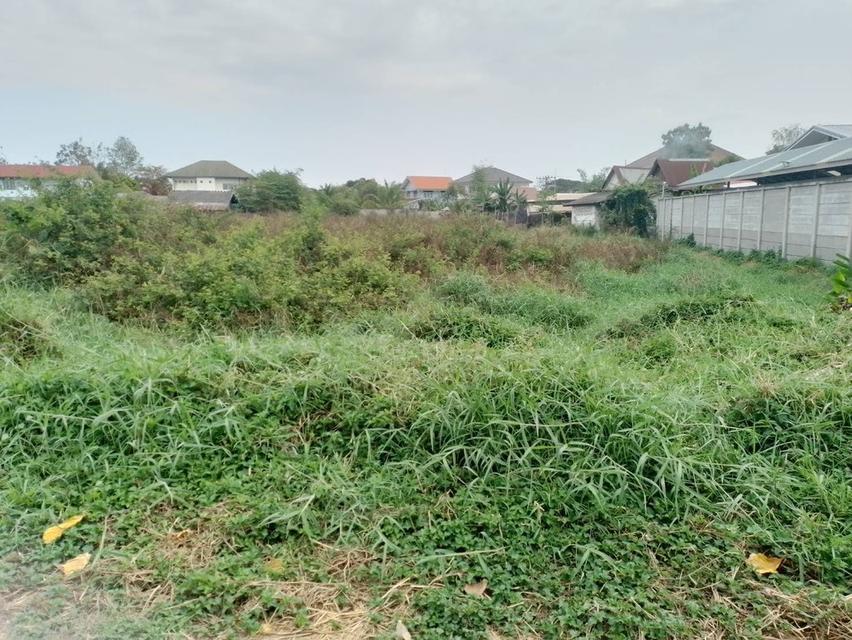 ขายที่ดินราคาไม่แพงในจังหวัดอุดรธานี 1 ไร่หลังแม็คโครสาขา 2 1