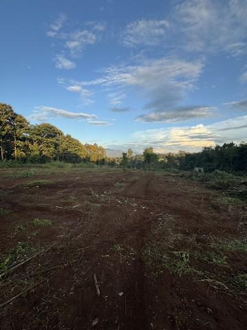 ขายที่ดินเริ่ม2-2-53.9ไร่ 2.8ลบ. หรือเหมา14ไร่กว่า ขาย 7.5ลบ. ฟรีโอน ผ่อนได้2งวด ติดถนน107 โชตนา เชียงใหม่-ฝาง ต.อินทขิล 7