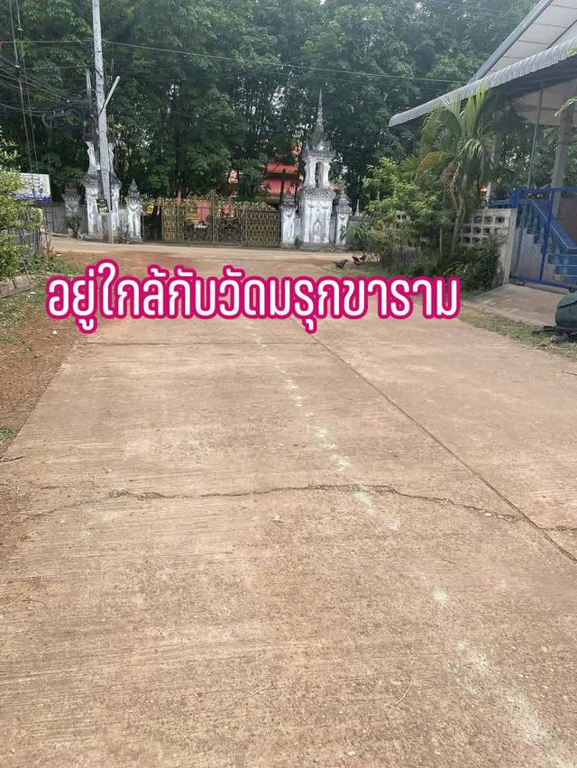 ที่ดินพร้อมโครงสร้างบ้าน 2 หลังบ้านหลักศิลาตำบลพระกลางทุ่งอำเภอธาตุพนมจังหวัดนครพนม 5