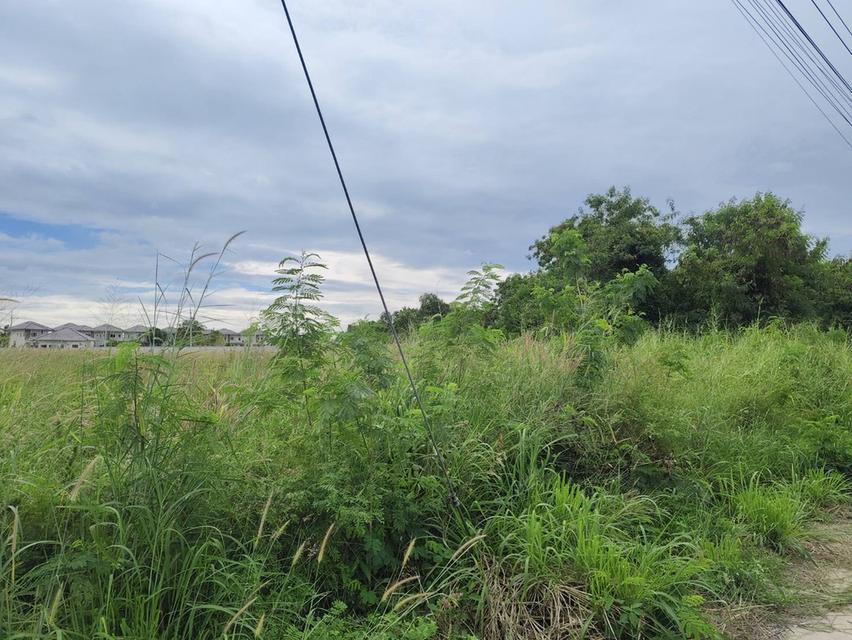 ขายด่วนที่ดินทำเลดี💥ใกล้โรงเรียนนานาชาติ ใกล้สนามบินอู่ตะเภา 4