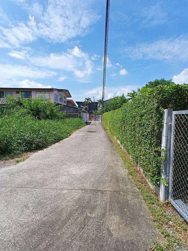 ขายที่ดินเนื้อที่ 100 ตารางวา ซอยคู้บอน 25 แยก 5 กรุงเทพมหานคร 3