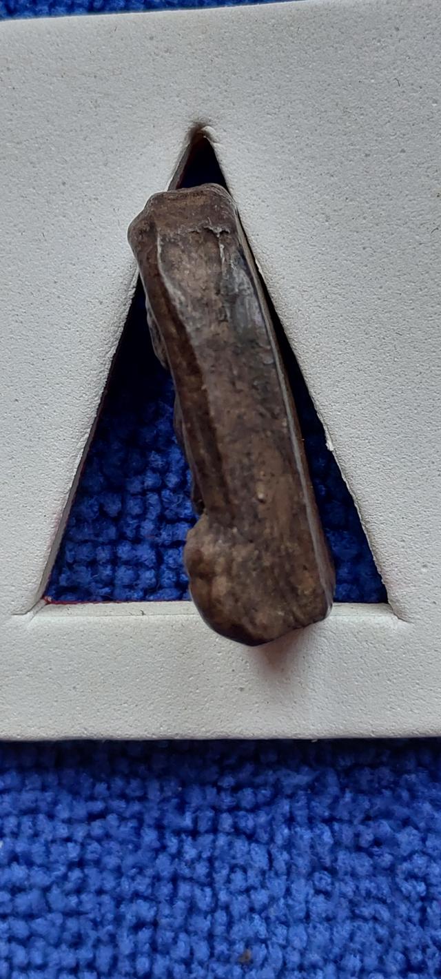 พระซุ้มกอพิมพ์กลางกรุกำแพงเพชร รูปที่ 4