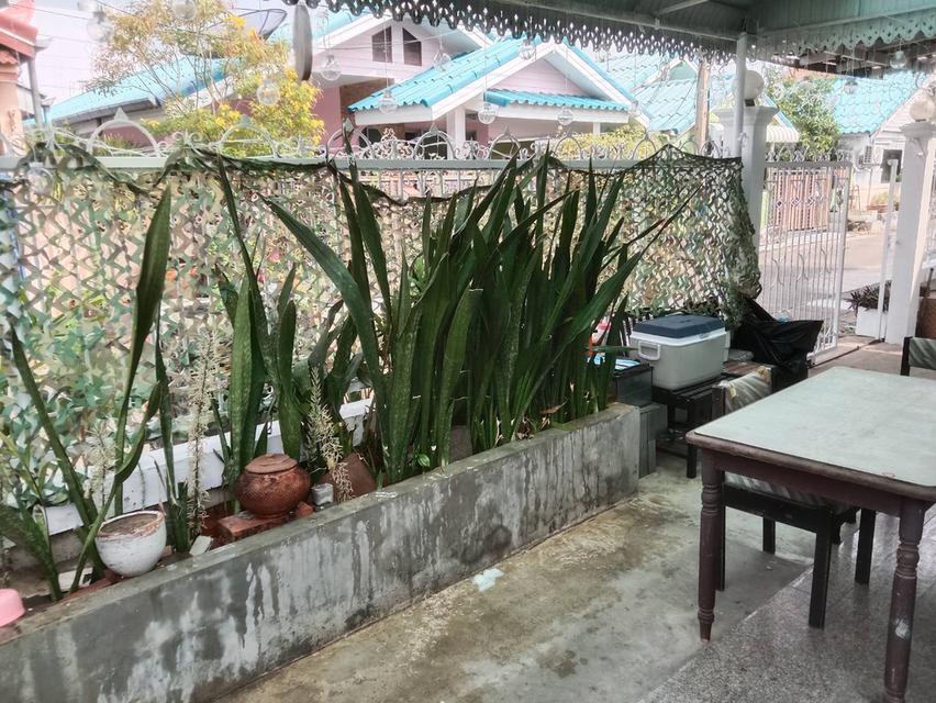 ให้เช่าบ้านย่านลาดพร้าว 19