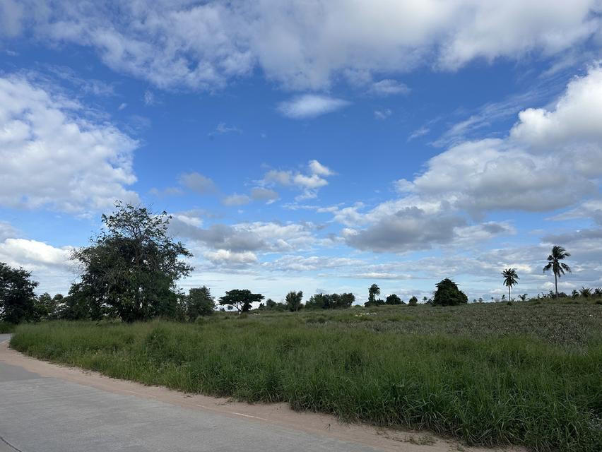 ที่ดินใกล้นิคมอีสเทิร์นซีบอร์ด ชลบุรี-บ่อวิน 4