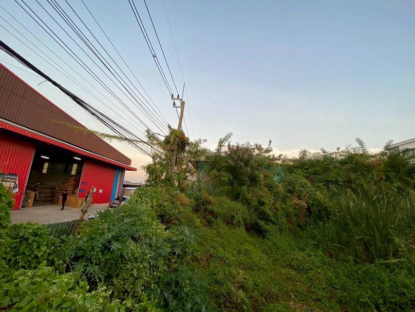 Vายถูกที่ดินใกล้รถไฟฟ้า 100 ตารางวา ซอย รามอินทรา 62 เขตบางกะปิ กรุงเทพมหานคร 7