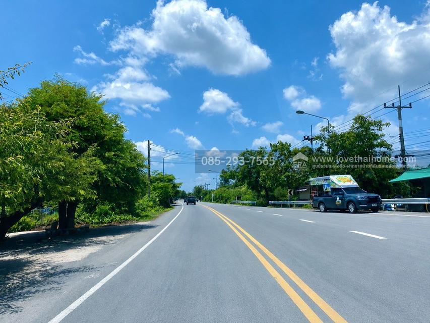 ขายที่ดินเปล่า ต.ศรีสำราญ อ.สองพี่น้อง จ.สุพรรณบุรี พื้นที่ 5 ไร่ ถมแล้ว ห่างจากถนนใหญ่เพียง 200 เมตร ใกล้อบต.ศรีสำราญ 20