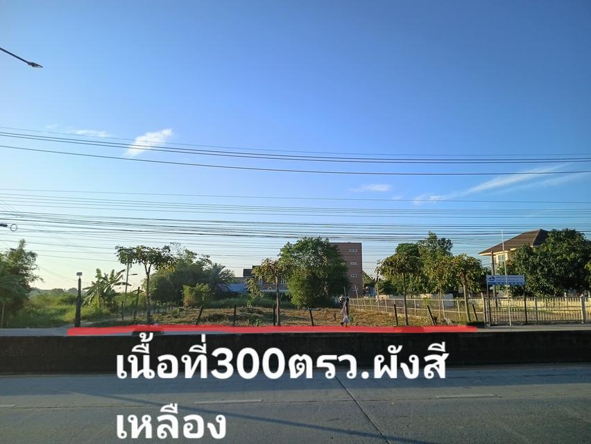 ที่ดินเปล่าหนองจอก กรุงเทพ 4
