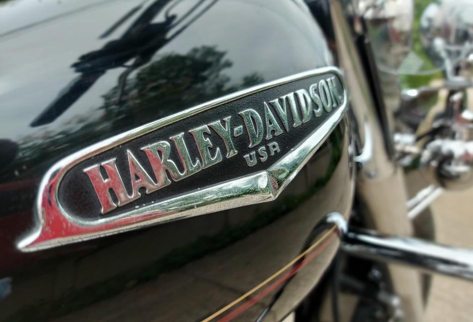 Harley Davidson Road King 2001 สภาพดีปกติทุกอย่าง 3