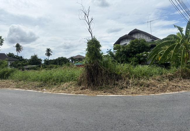 ขายที่ดิน ซอยสุขาภิบาล 10 สามพราน นครปฐม เนื้อที่ 89 ตร.ว. แปลงมุม รูปย่อยที่ 2