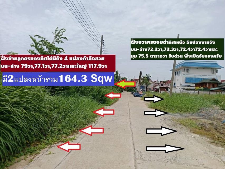 ขายที่ดินจัดสรร 195 ตารางวาแปลงเสมือนอยู่แจ้งวัฒนะ ทิศใต้ แต่หน้าติดถนนถึง 41 เมตรสร้างบ้านใหญ่ ม.ลานทอง มีถนนไฟฟ้า ประปาพร้อมแต่มีลักษณะหมู่บ้านใหญ่ 9