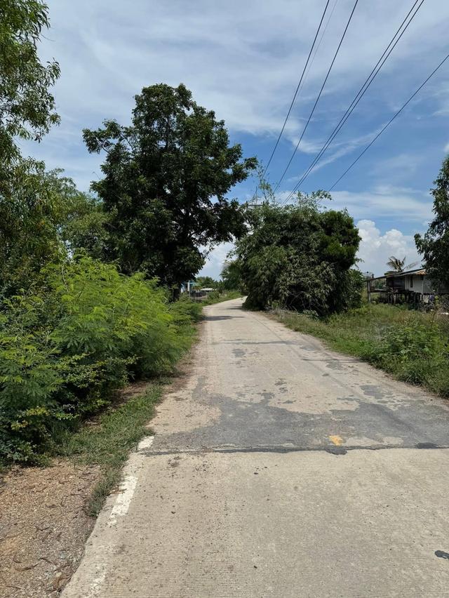 ขายที่ดิน จ.อยุธยา ต.วังพัฒนา อ.บางซ้าย 11
