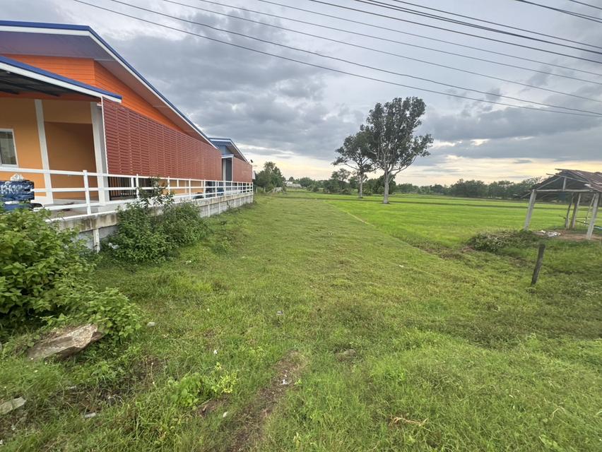 ขายที่ดิน 5 ไร่ ใจกลางเมืองปราสาท จ.สุรินทร์ (ต.กังแอน) ทางเข้ากว้าง 13 ม. เหมาะพัฒนาโครงการบ้านจัดสรร 2