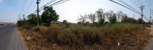 🌳 ขายที่ดินแปลงใหญ่ 64 ไร่ ติดถนนพหลโยธิน อำเภอหนองแค จังหวัดสระบุรี 3