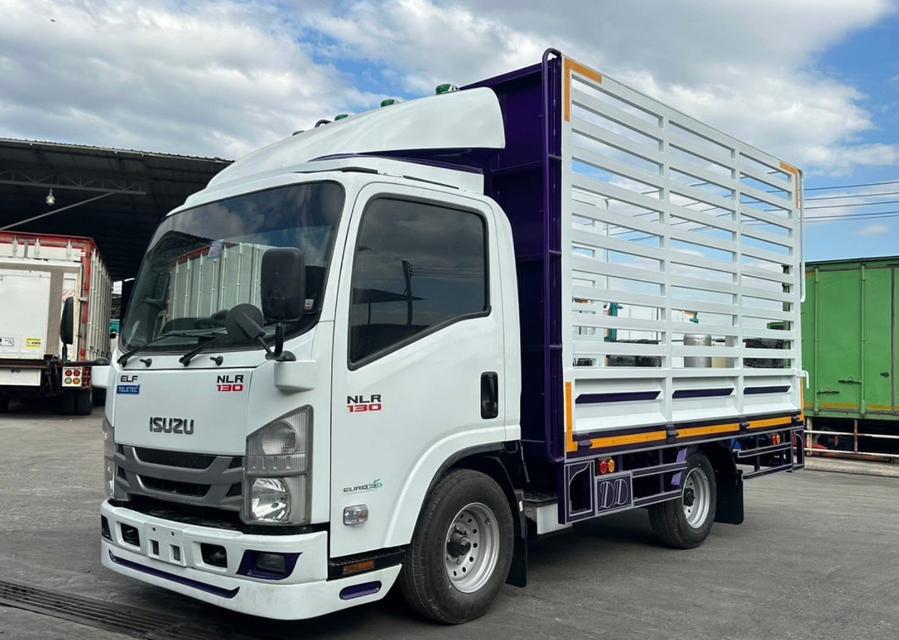 ISUZU NLR 130 แรง ปี 2562 รถบรรทุกคอกสูง ราคาถูก 4