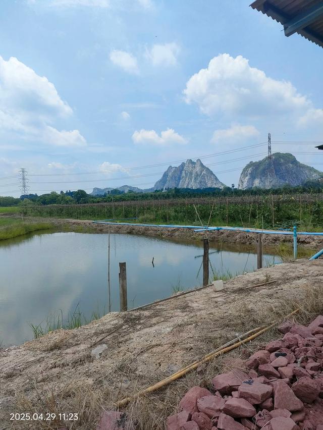 ที่ดินทำสวนฝรั่ง จ.ราชบุรี 11