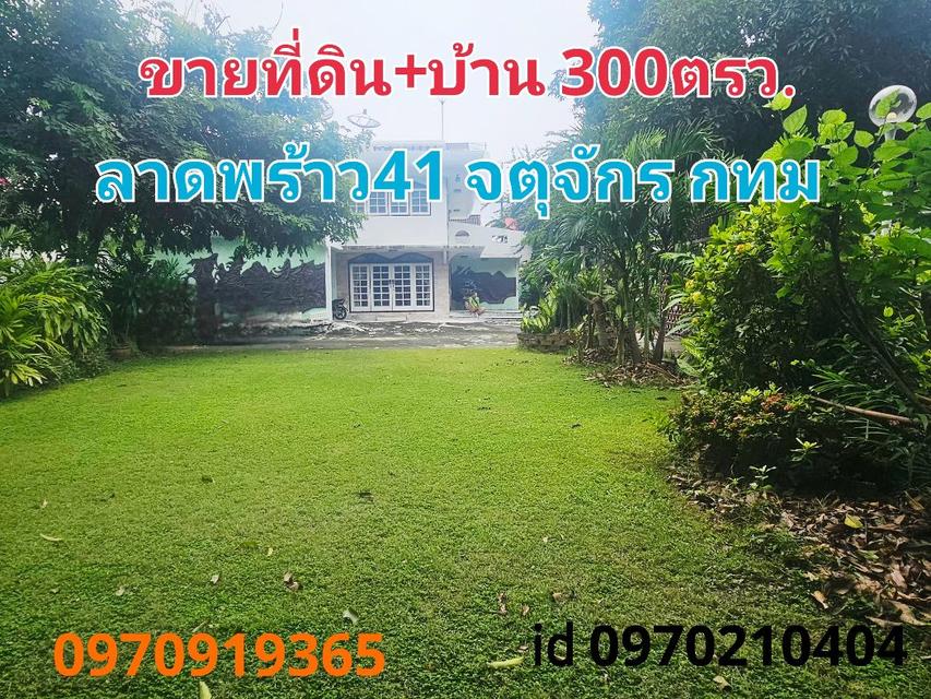 ขาย ที่ดิน และบ้านเดี่ยว ลาดพร้าว41 300 ตร.วา จันทรเกษม จตุจักร กทม 1