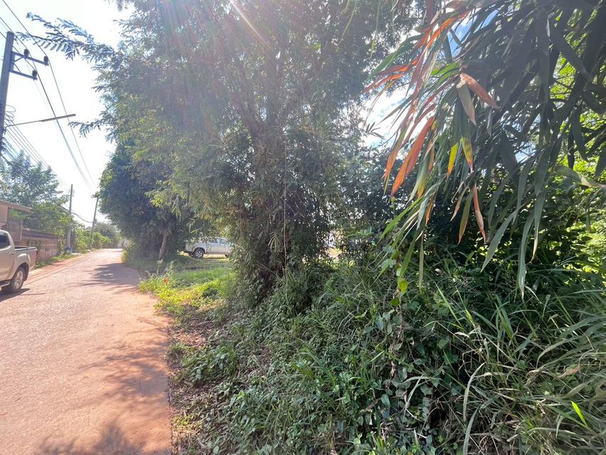 ขายที่ดินสวย 370 ตารางวา ใกล้ ม.ขอนแก่น 5