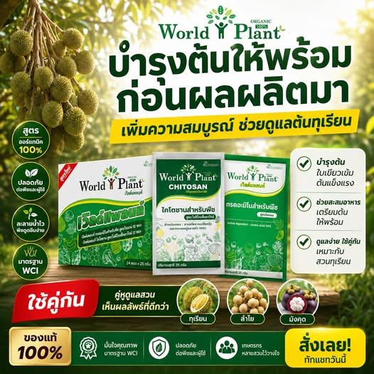 สามเกลอเวิลด์แพลนท์ WCI เกษตรอินทรีย์