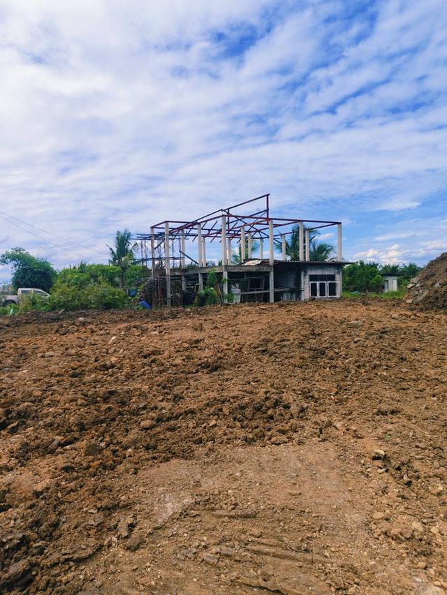 ขายที่ดิน!! คลอง 12 ปทุมธานี 1 ไร่ อยู่ใกล้ อบต.นพรัตน์ ติดถนน 5