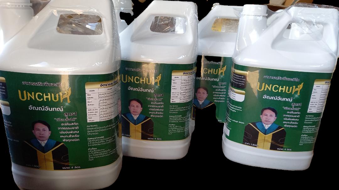 อาหารเสริมพืชอะมิโน อัณณ์จันทณ์ UNCHUN