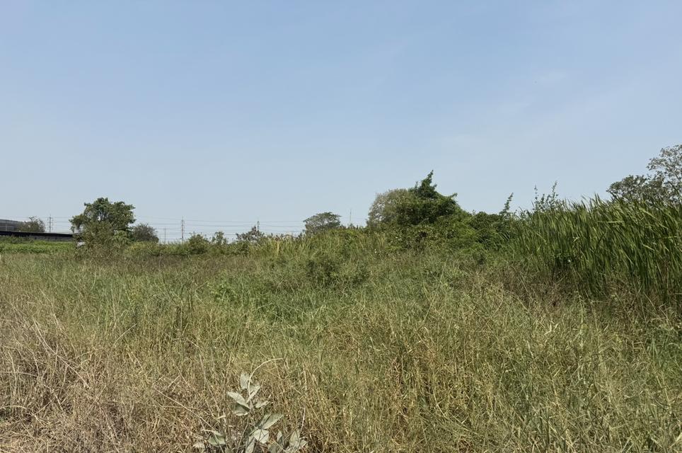 ขายที่ดินอำเภอมีนบุรี กรุงเทพมหานคร 4