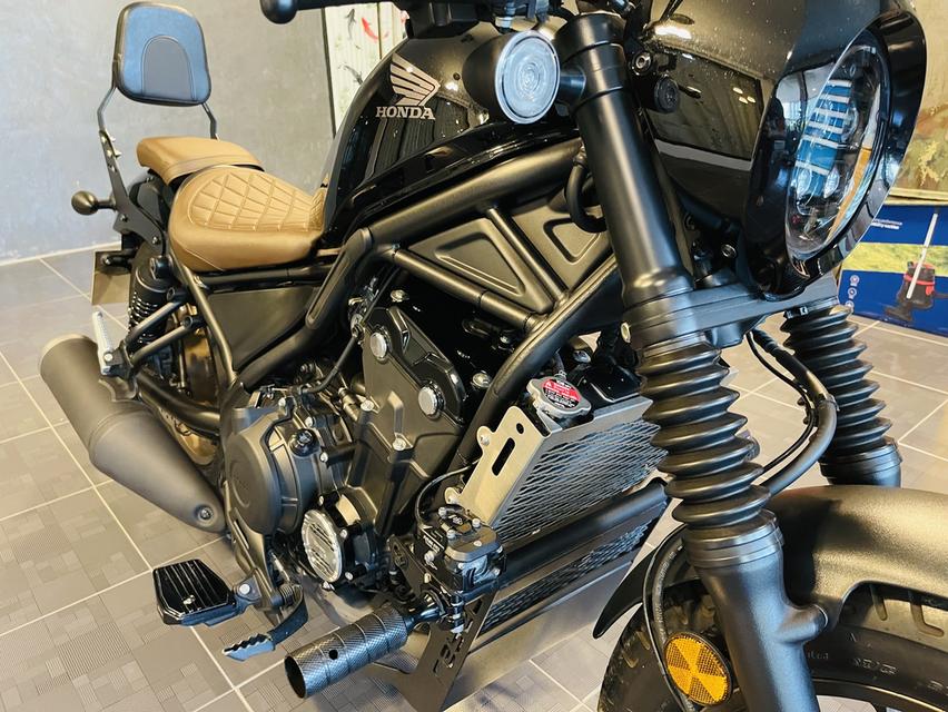 Rebel500/2024 11