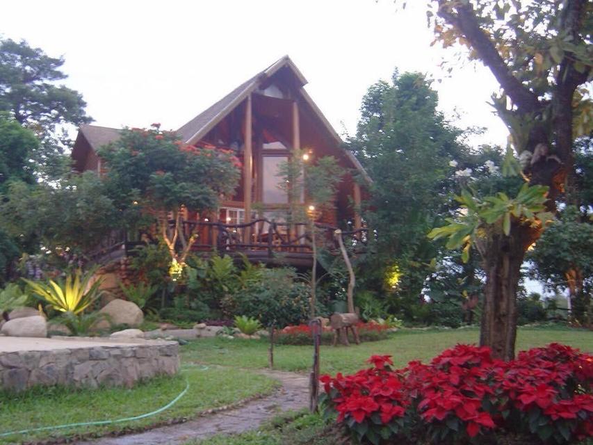 ขายที่ดินพร้อมกิจการ ปรับทำบ้านส่วนตัว สวนกว้างวิวภูเขา สันกำแพง เชียงใหม่ 4