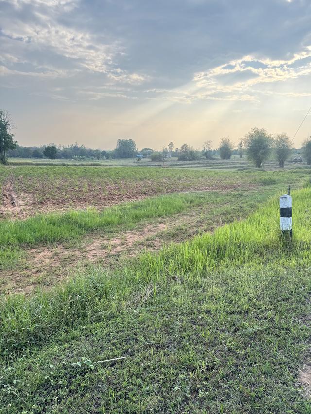 ที่ดินเปล่าพื้นที่ตำบลท่าพระ อำเภอเมือง ขอนแก่น 5