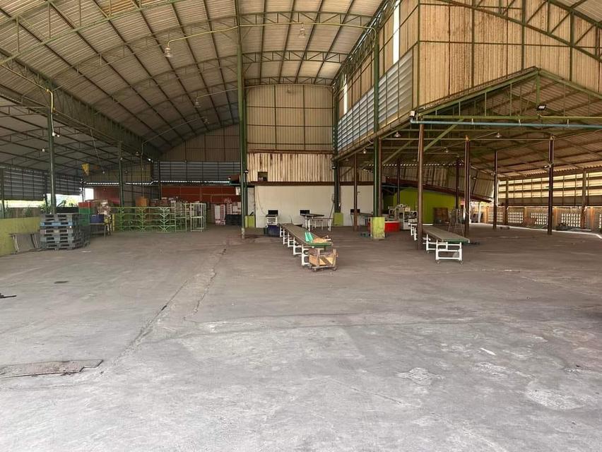 #ให้เช่าโรงงานโกดังสภาพดีมีห้องเย็นจังหวัดนครปฐม  วันดอนขนาก เนื้อที่ 3200 ตรม. (2ไร่ 1งาน)  5