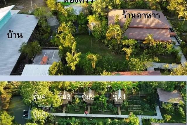 ขายที่ดินพร้อมสิ่งปลูกสร้าง (ร้านอาหาร) เนื้อที่ 1 ไร่ 2 งาน 85 ตรว. ต.สันโป่ง อ.แม่ริม จ.เชียงใหม่ 6
