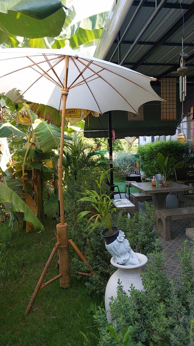 บ้านสวนพร้อมที่ดิน181ตรว. 11