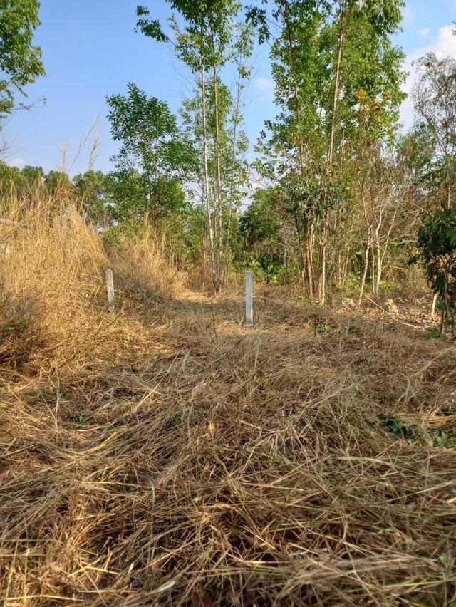 ที่ดินอ.เมืองหวัดสระแก้ว 16