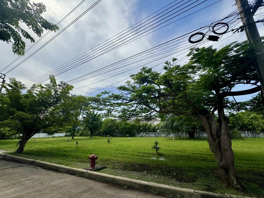 ขายที่ดินในหมู่บ้านวินด์มิลล์ พาร์ค (Windmill Park) อ.บางพลี จังหวัดสมุทรปราการ 4