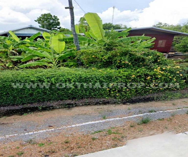 ที่ดิน ถ.ทล.ชนบทพิจิตร3016 ต.วังสำโรง อ.บางมูลนาก จ.พิจิตร 4