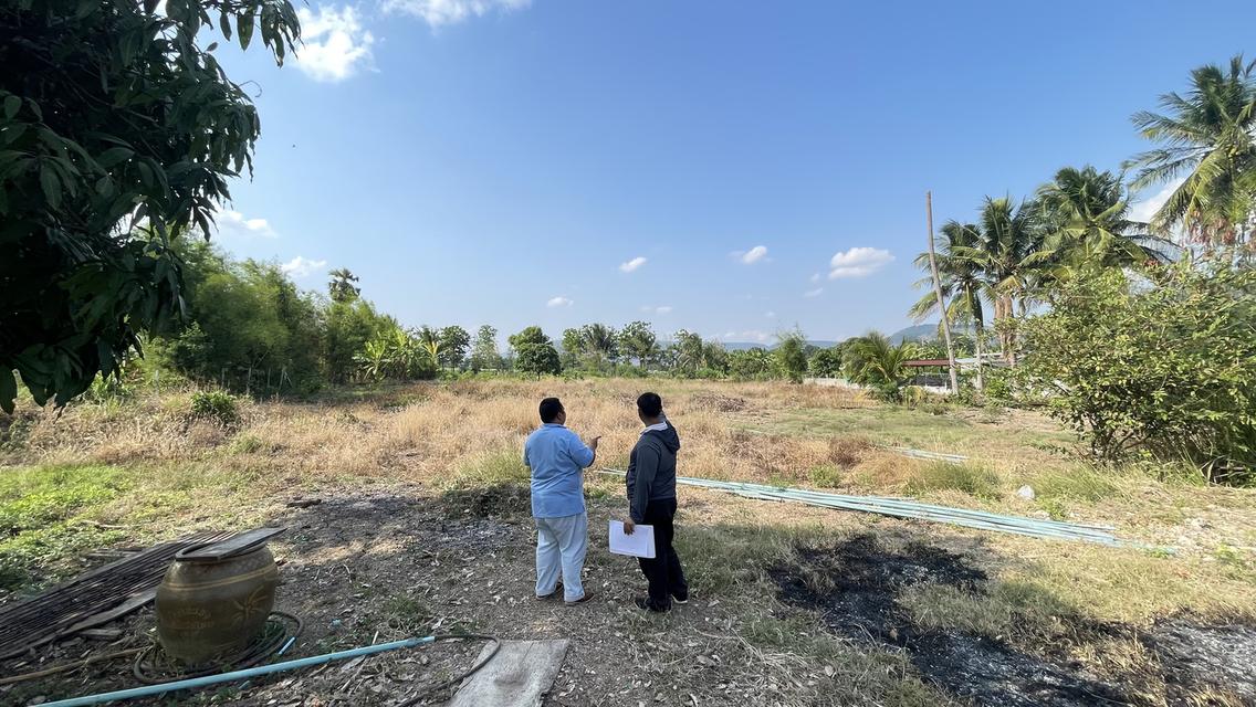 ขายที่ดินโฉนดครุฑแดง เนื้อที่ 2 ไร่ 3 งาน บ้านวังไทร ต.วังไทร ใจกลางแหล่งชุมชน  วิวเข้าล้อมรอบ ใกล้แหล่งท่องเที่ยวมากมาย 1