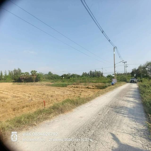 ขายที่ดินใกล้ราชภัฏสวนสุนันทา 317 ตารางวา ติดถนนสาธารณะ ต.คลองโยง อ.พุทธมณฑล จ.นครปฐม 4