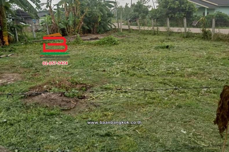 ที่ดินเปล่า  10