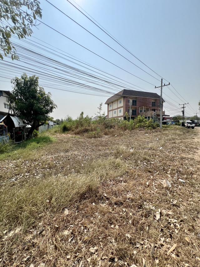 ที่ดินสวย ทำเลดี ติดถนนลาดยาง ราชบุรี 1