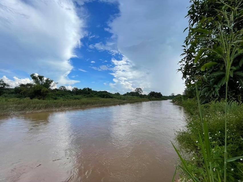 ขายที่ดินถมแล้ว 20 ไร่ 3 งาน 32.4 ตร.ว. เป็นสวนเกษตร (ไม่เสียภาษีที่ดิน) ติดแม่น้ำแตง อ.แม่แตง จ.เชียงใหม่ 8