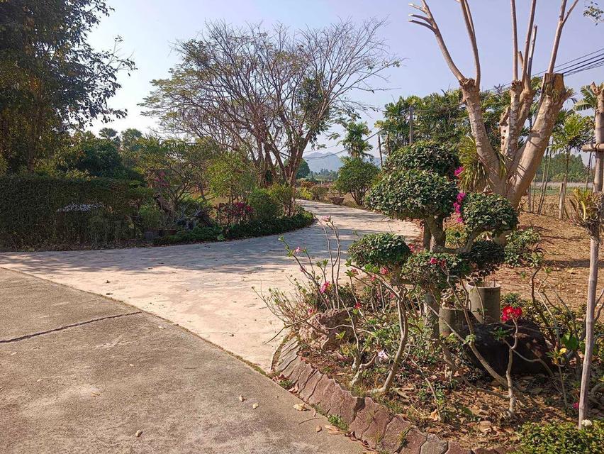 ขายที่ดินพร้อมบ้าน เนื้อที่ 19-3-66 ไร่ ต.ทุ่งหลวง อ.ปากท่อ ราชบุรี 12