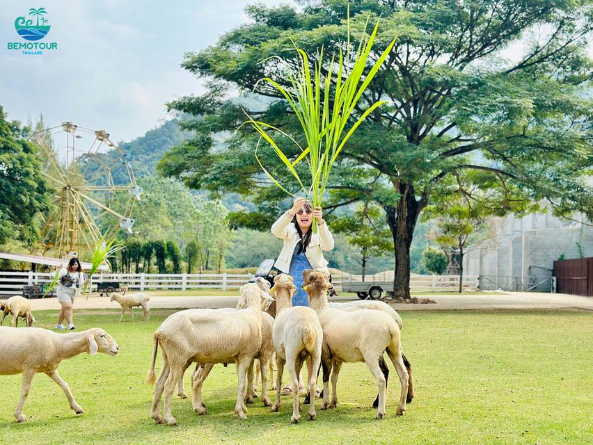 ทัวร์สวนผึ้ง ONE DAY TRIP ราคาสุดคุ้ม เพียง 1,250 บาท รวมทุกอย่างจาก กทม. 8