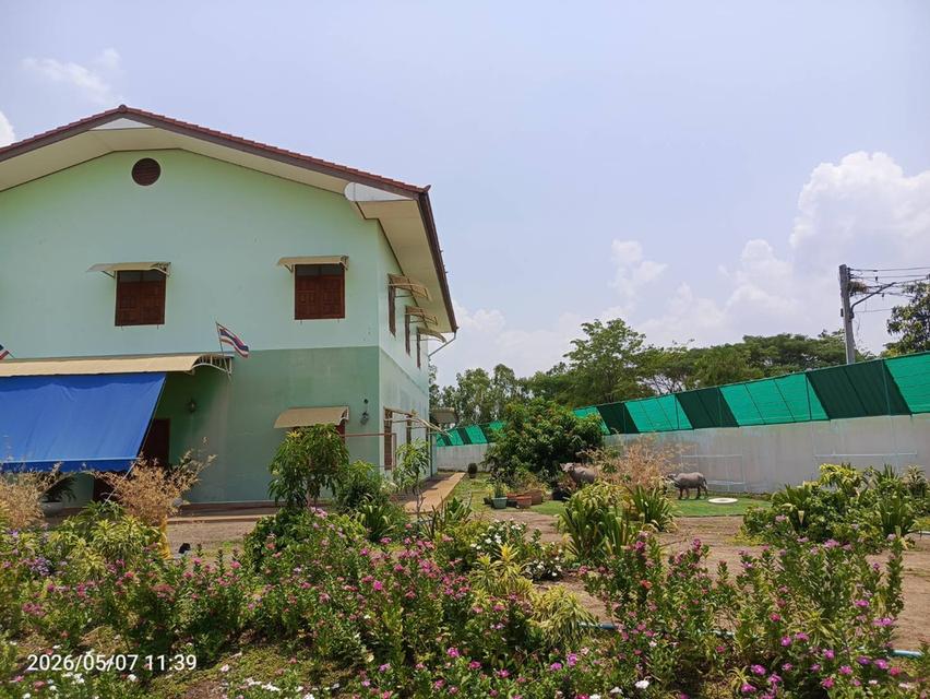 บ้านพร้อมที่ดิน ตัวเมืองบางมูลนาก จังหวัดพิจิตร 3