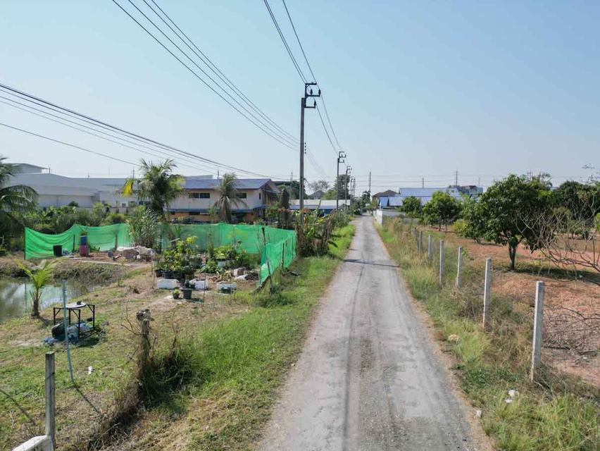 ที่ดินเปล่า ซอย สุวินทวงศ์ 27 ห่างถนนใหญ่เพียง 160 เมตร 5