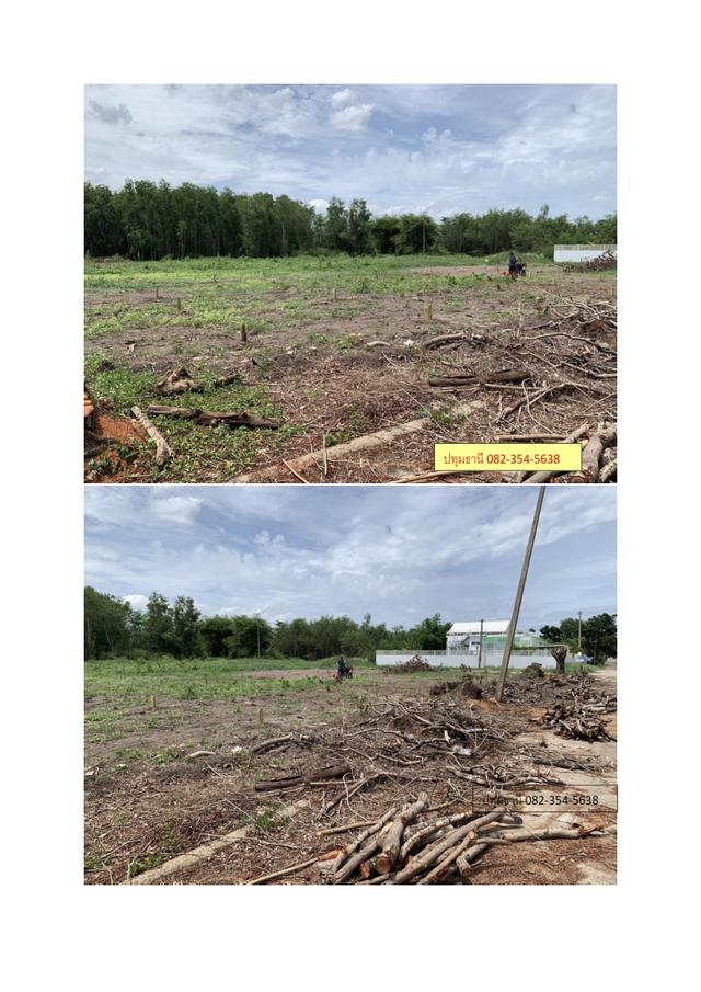 ขาย ที่ดิน ย่านคลองหลวง ปทุมธานี ใกล้ตลาดไท 1