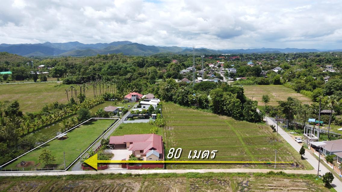ขายที่ดิน 1 ไร่ ถนนคอนกรีต วิวดอย น้ำ-ไฟ-เน็ตพร้อม ใกล้ถนนตัดใหม่เพียง 500 ม. 4